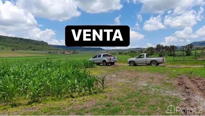 2 Casas en venta en Ameca | Point2