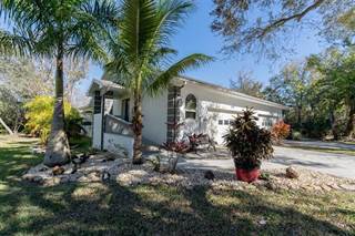 473 E CURLEW PLACE, Tarpon Springs, FL, 34689