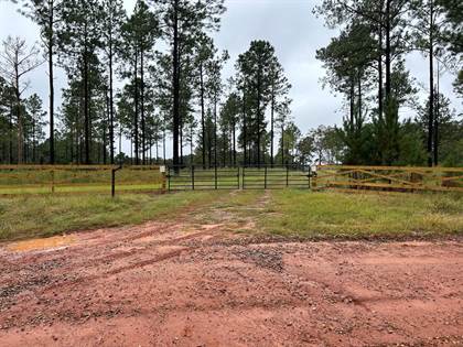 Picture of 560 AC Pine Grove Church Road, Fort Gaines, GA, 39851