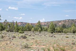 Tract 15 James Valley Rd., Ramah, NM, 87321