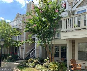 1 Bedroom Apartments For Rent In Shirlington Va Point2 Homes