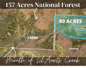 80 Acres Northwoods Drive, Kimberling City, MO, 65686