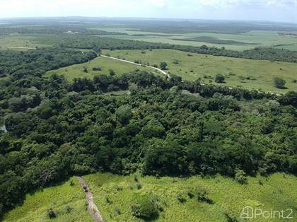 Lots And Land for sale in 23.8 Acres on the Belize River, Banana Bank, Cayo