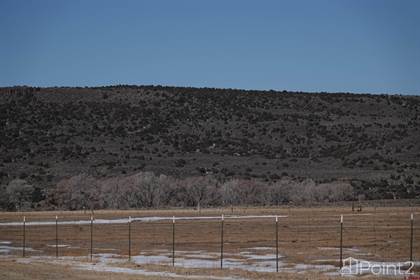 Picture of TBD co road 21 Road, San Luis, CO, 81152