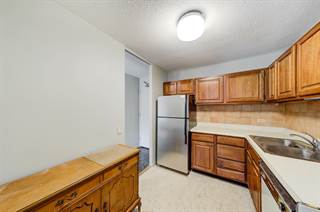 901 S Plymouth Court 101, Chicago, IL, 60605