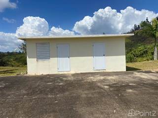 Residential Property for sale in Bo. Real Anon, Ponce PR, Ponce, PR, 00731