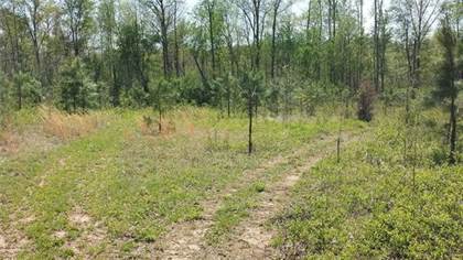 Lots And Land for sale in 15919 Hamilton Arms Road, Dewitt, VA, 23840