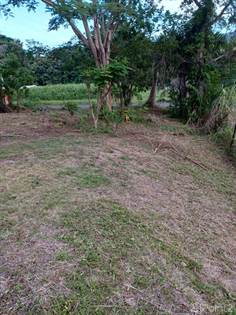 Residential Property for sale in Colinas del Yunque, Mameyes, PR, 00745