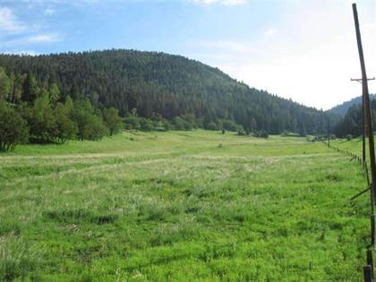 Lots And Land for sale in 15 Elk Meadows Lt 4 Elk Springs, Cloudcroft, NM, 88317