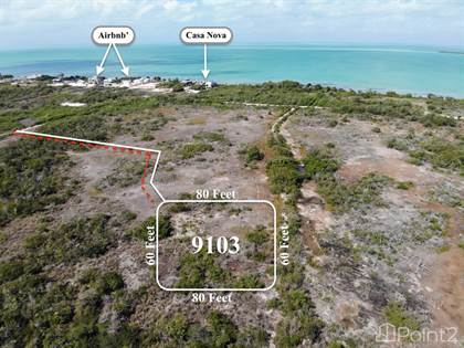Picture of Investment lot next to Six Senses, Ambergris Caye, Belize