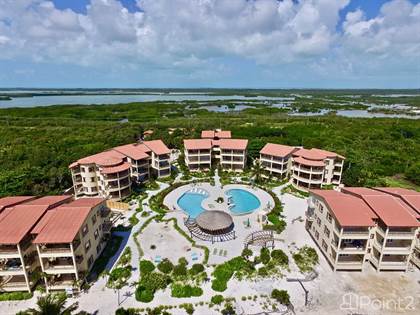 The Residences At Barrier Reef Condos, Belize