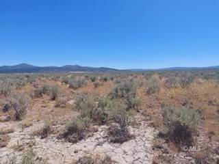 20 +/- Acres, Off Williams Rd., Madeline, CA, 96119