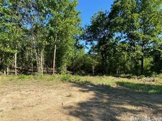 TBD Tract 2 Highway 88 West, Oden, AR, 71961