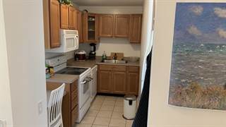 899 S Plymouth Court 1902, Chicago, IL, 60605