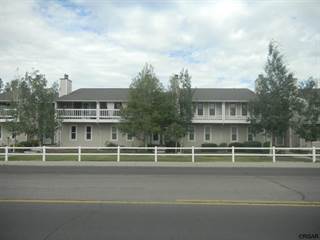 515 29  Road, Grand Junction, CO, 81501