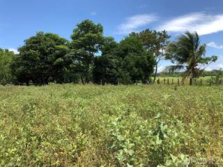 Land for Sale Liberia - Vacant Lots for Sale in Liberia | Point2 Homes