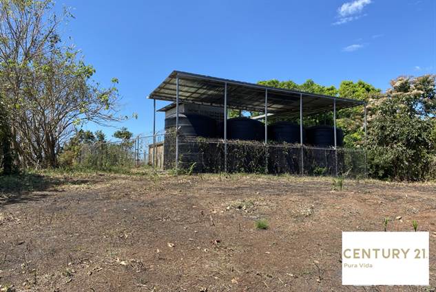 Farm At Lagunillas, 9 Ha, Commercial Road Access, With Some Ocean View.