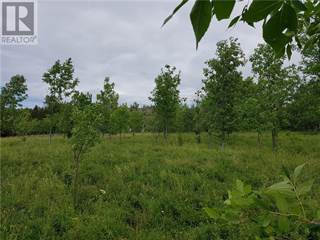 Land for Sale Northern Ontario - Vacant Lots for Sale in Northern ...