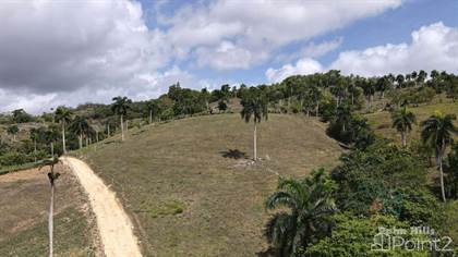 Farmland ideal for agriculture, Santo Domingo, Santo Domingo