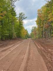 0 County Hwy C - Lot 4, Couderay, WI, 54828