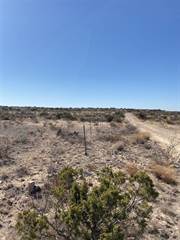 Heritage Canyon Ranch (Phase I), Tract 6, Dryden, TX, 78851