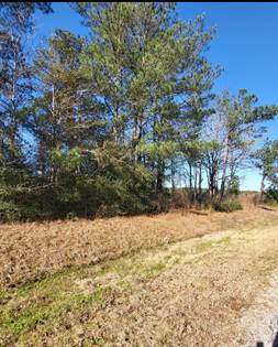 Picture of 00 Cooley Springs Rd., Mount Olive, MS, 39119