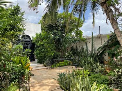 Picture of Hidden Oasis in Garcia Gineres, Merida, Yucatan