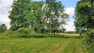Lot 1 State Road Road, Webster, NY, 14580