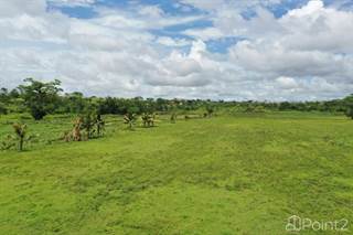 21 Acres On The Belize River, Cayo, Belize