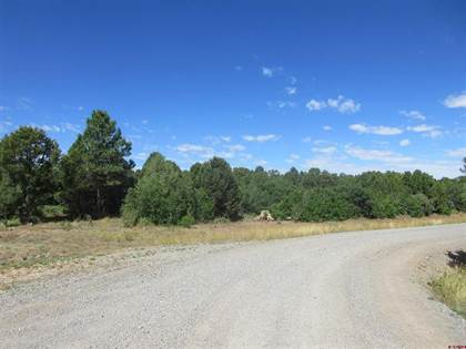 Picture of TBD Wildcat Canyon Road, Montrose, CO, 81403