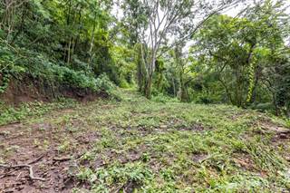 Lots And Land for sale in Big Lot with Big Views in Guacimo 12,000m2, Atenas, Alajuela