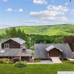 448 Ecker Hollow Road, Middleburgh, NY, 12157