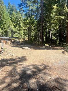Picture of 895 Tsarnas Road, Myers Flat, CA, 95554