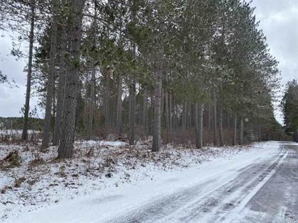 ON RIVER ROAD WEST, Tomahawk, WI, 54487