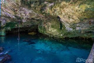 Escape to Paradise: Explore Playa del Carmen´s Ecological Community MLSPT884, Playa del Carmen, Quintana Roo