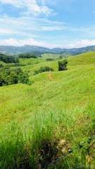 Usable Land with Great Mountain Views - 39.52 Acres, Platanillo, Puntarenas