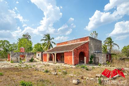 Picture of RANCHO SANTA RITA IN A GOOD LOCATION NEAR TEMAX, Merida, Yucatan
