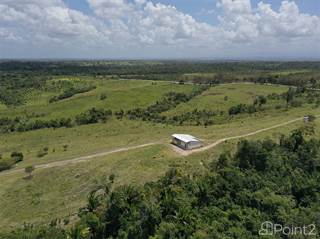 434 acre Ranch| Cayo Belize Real Estate, Belmopan, Cayo