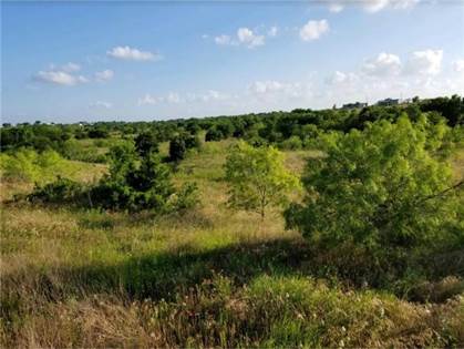 13201  Jacobson RD 22.36 acres, Manor, TX, 78653