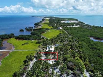 Land w/ 82ft of Beachfront, Caye Caulker, Caye Caulker, Belize