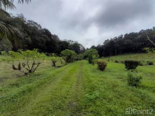 Over 27 Lush Acres of Land for Sale in Jaramillo, Boquete, Chiriqui, Boquete, Chiriquí