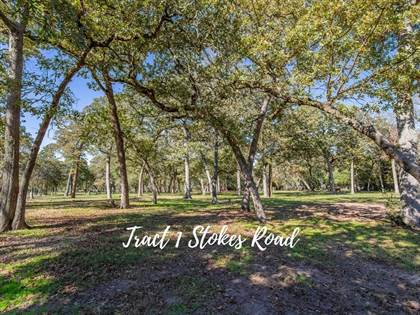 Picture of TBD 1 Stokes Road, Bellville, TX, 77418