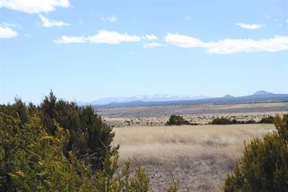 Picture of 37 Lost Calf Lane, Magdalena, NM, 87825