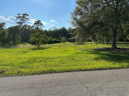 Picture of Lot 9-10 Tom Seal Rd, Carriere, MS, 39426