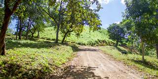 Great land for development, excellent location and price, Huacas, Guanacaste