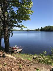 Land for sale, Property for sale in Ontario County, New York - Lands of  America