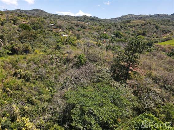 Land of 47,223m2 or 11,669 acres with ocean views ideal for residential lots project - photo 14 of 14