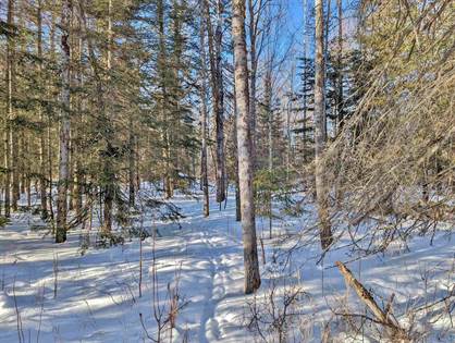 Lots And Land for sale in 9227 E Superior St, Duluth, MN, 55804