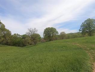 Black Ranch Rd Tract 1, Lead Hill, AR, 72644