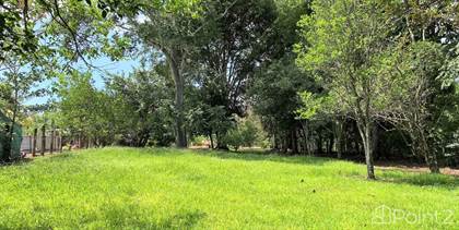 Beautiful flat lot for sale, in front of a main road, Higuito, San Mateo., San Mateo, Alajuela